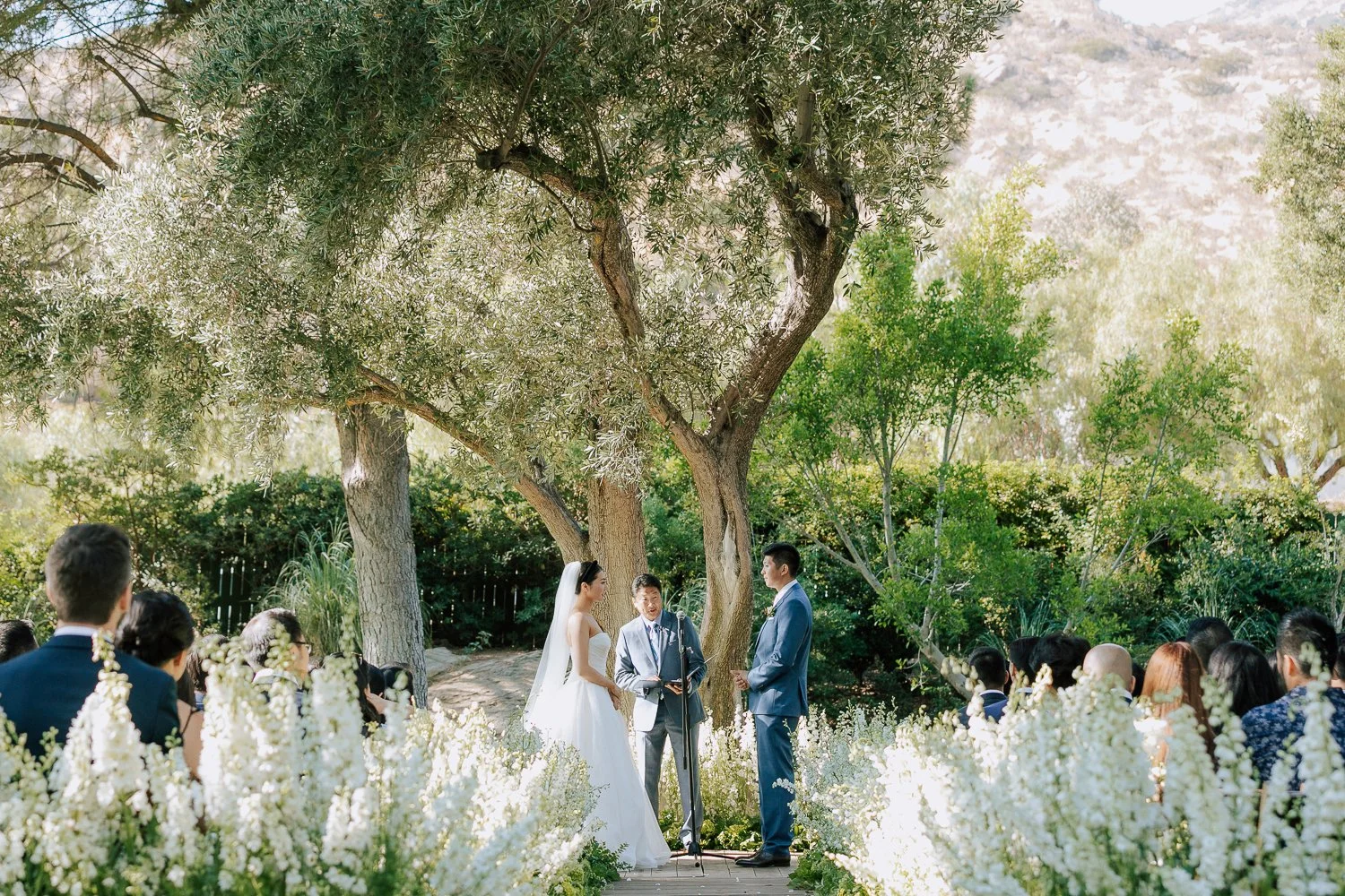 San Francisco Wedding Photographer | Bay Area Wedding Photography